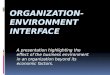 Organization Environment Interface