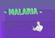 Final Ppt Malaria