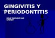 Gingivitis Cronica