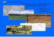 Soil Survey Lab Methods Manual 2004 USDA