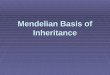 Mendelian Basis of Inheritance