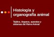 Histología y organografía animal Tejidos, órganos, aparatos y sistemas del Reino Animal