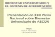 BIENESTAR UNIVERSITARIO Y EL SISTEMA DE ACREDITACIÓN Presentación en XXX Pleno Nacional sobre Bienestar Universitario de ASCÚN - Paipa Pedro P. Polo Verano