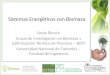 Sistemas Energéticos con Biomasa Sonia Rincón Grupo de Investigación en Biomasa y Optimización Térmica de Procesos – BIOT Universidad Nacional de Colombia