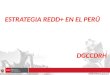 ESTRATEGIA REDD+ EN EL PERÚ DGCCDRH. 1. ENFOQUE DEL PERÚ EN EL MECANISMO REDD+ 2. PROCESO DE PREPARACIÓN PARA REDD+ EN EL PERÚ 3. FRENTES DE INTERVENCIÓN