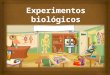 Los experimentos biológicos son un medio idóneo para acercar a los niños al ambiente natural, a través de esto se le brinda al niño las oportunidades