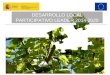 DESARROLLO LOCAL PARTICIPATIVO-LEADER DESARROLLO LOCAL PARTICIPATIVO LEADER 2014-2020