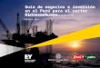 Guía de negocios e inversión en el Perú para el sector Hidrocarburos  Febrero 2015