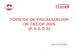TÓPICOS DE FISCALIZACIÓN DE CECOP 2005 (P A S O S) Agosto de 2005