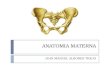 ANATOMIA MATERNA JUAN MANUEL ALBORES TREJO.  La comprensión de la anatomía de la pelvis y la pared abdominal inferior es indispensable para la practica