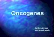 Oncogenes Javier Arroyo Germán Laissle. Oncogenes n Definición: genes causantes del cáncer, derivan de proto-oncogenes, genes celulares que promueven