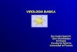 VIROLOGIA BASICA Dra. Evelia Quiroz R. Dpto. Microbiología (Virología) Facultad de Medicina Universidad de Panamá