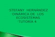 STEFANY HERNÁNDEZ  DINÁMICA DE LOS ECOSISTEMAS  TUTORÍA 4
