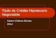 Titulo de Crédito Hipotecario Negociable Gianni Chávez Enciso 2014