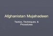 eBook - US Army - Afghanistan Mujahadeen Tactics, Techniques & Procedures L