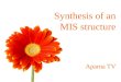 Synthesis of an MIS structure