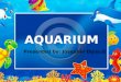 Aquarium - Seminar