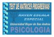 Test+ +Raven+Matrices+Progresivas