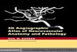 114137025 3D Angiographic Atlas of Neurovascular Anatomy and Pathology