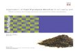 Thesis  Application of fast pyrolysis biochar to a loamy soil