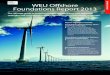 WEU Offshore Foundations Report Extract 2013