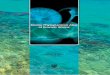 LIBRO Marine Phytoplankton Atlas of Kuwait’s Waters