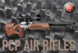 Pcp Air Rifles 2013