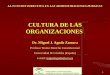 1 LA FUNCION DIRECTIVA EN LAS ADMINISTRACIONES PUBLICAS CULTURA DE LAS ORGANIZACIONES Dr. Miguel J. Agudo Zamora Profesor Titular Derecho Constitucional