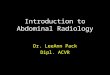 Lecture 10 Introduction to Abdominal Radiology