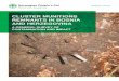 Report on Cluster Munition Remnants BiH 2011