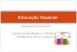 Adaptação Curricular Supervisoras Rosana e Rosângela PCNPs Ana Silvia e Letícia Educação Especial