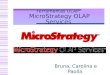 Ferramentas OLAP: MicroStrategy OLAP Services Bruna, Carolina e Paolla