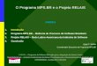 O Programa MPS.BR e o Projeto RELAIS AGENDA 1.Introdução 2.Programa MPS.BR – Melhoria de Processo do Software Brasileiro 3.Projeto RELAIS – Rede Latino-Americana