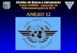 Divisão de Busca e Salvamento Curso SAR003 – Operador de Telecomunicações de RCC ANEXO 12