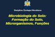 Microbiologia do Solo: Formação do Solo, Microrganismos, Funções Disciplina: Ecologia Microbiana