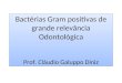 Bactérias Gram positivas de grande relevância Odontológica Prof. Cláudio Galuppo Diniz Bactérias Gram positivas de grande relevância Odontológica Prof