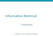 Introduction to Information Retrieval Introduction to Information Retrieval Clusterização Robson de Carvalho Soares