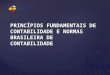 PRINCÍPIOS FUNDAMENTAIS DE CONTABILIDADE E NORMAS BRASILEIRA DE CONTABILIDADE
