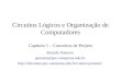 Circuitos Lógicos e Organização de Computadores Capítulo 1 – Conceitos de Projeto Ricardo Pannain pannain@puc-campinas.edu.br
