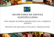 SECRETARIA DE DEFESA AGROPECUÁRIA Inter-relação da Defesa Agropecuária com a Vigilância Sanitária Ministério da Agricultura, Pecuária e Abastecimento