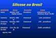 Silicose no Brasil Atividade Autor Desenho Taxas Várias Mendes, 1978 Prevalência estimativa do nº de Região Sudeste silicóticos: Brasil- 30.000 Cerâmica