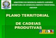 PLANO TERRITORIAL DE CADEIAS PRODUTIVAS MINISTÉRIO DO DESENVOLVIMENTO AGRÁRIO SECRETARIA DE DESENVOLVIMENTO TERRITORIAL DECOOP