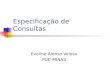 Especificação de Consultas Eveline Alonso Veloso PUC-MINAS