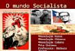 O mundo Socialista Revolução Russa Revolução Russa Revolução Chinesa Revolução Chinesa Revolução Cubana Revolução Cubana Via Chilena Via Chilena Professora: