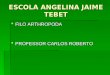 ESCOLA ANGELINA JAIME TEBET FILO ARTHROPODA FILO ARTHROPODA PROFESSOR CARLOS ROBERTO PROFESSOR CARLOS ROBERTO