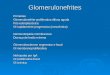 Glomerulonefrites Primárias Glomerulonefrite proliferativa difusa aguda Pós-estreptocócica Gl rapidamente progressiva (crescêntica) Glomerulopatia membranosa