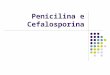 Penicilina e Cefalosporina. Penicilina Instabilidade da Penicilina (I) O sistema biciclico é composto por 2 anéis um de 4 e outro de 5 membros, pelo