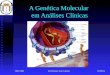 Genética 2001/2002Prof.Doutor José Cabeda A Genética Molecular em Análises Clínicas