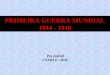 PRIMEIRA GUERRA MUNDIAL 1914 - 1918 Pró-federal UNIMAX - MOC