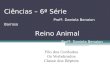 Ciências – 6ª Série Profª. Daniela Benaion Barroso Filo dos Cordados Os Vertebrados Classe dos Répteis Reino Animal Profª. Daniela Benaion Barroso